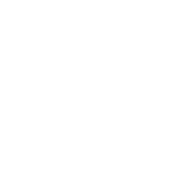 ZT